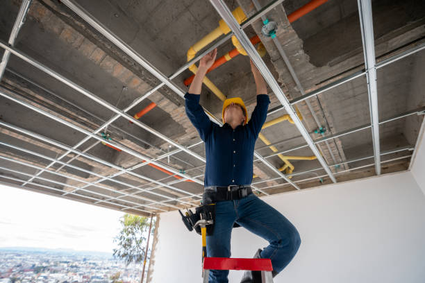 Best Plumbing Services Near Me  in Laguna Park, TX