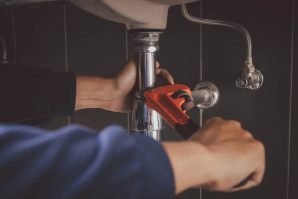 Best Local Plumber Services  in Laguna Park, TX